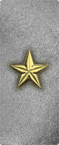 Star Gold-Silver